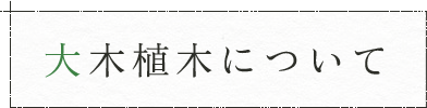 大木植木について