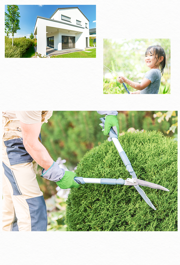 メインビジュアル