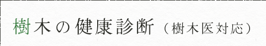 樹木の健康診断（樹木医対応）