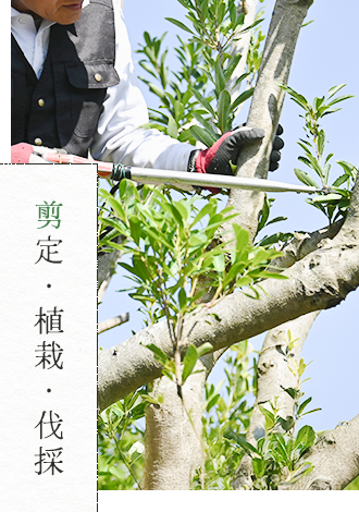 剪定・植栽・伐採